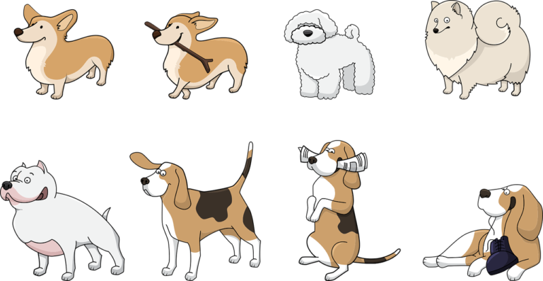 How to Choose Safe Dog Toys