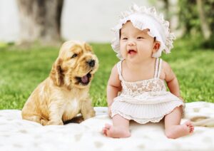 A cocker spaniel puppy sitting on a blanket beside a baby in a bonnet