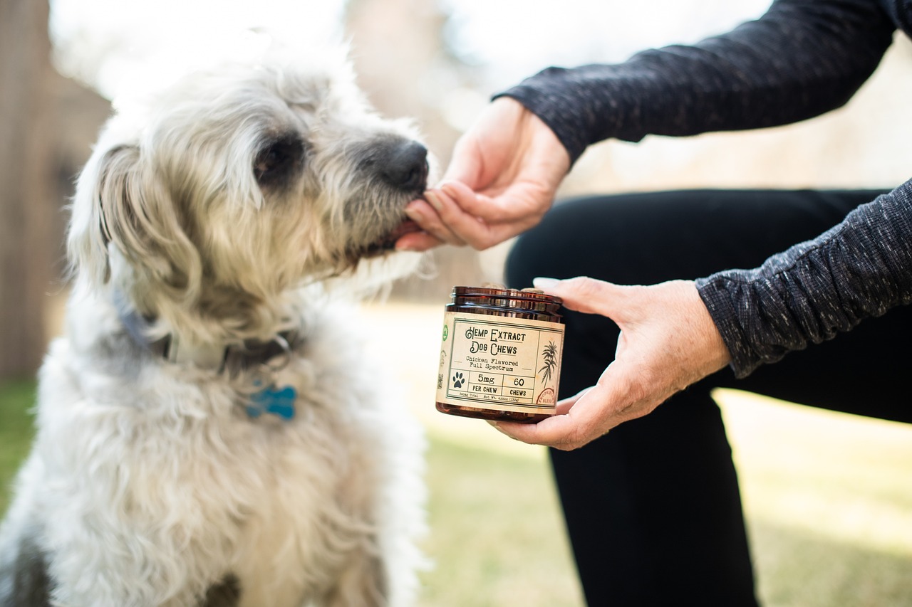 CBD Treats and Supplements for Healthy Dogs