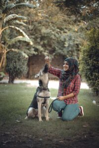 A woman kneeling in a park holding a treat above an attentive German Shepherd