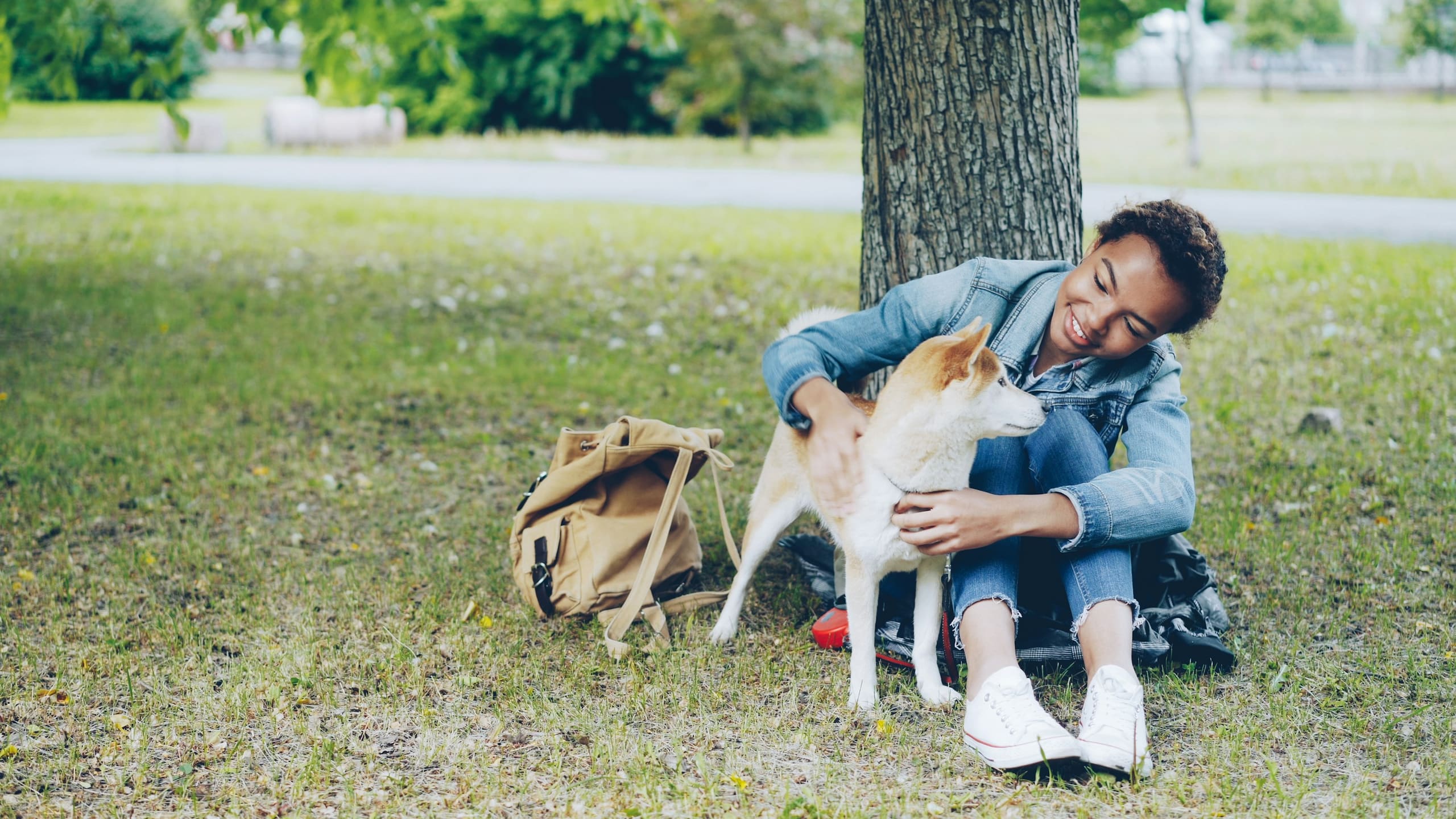 A woman sitting under a tree with her dog in a leafy park